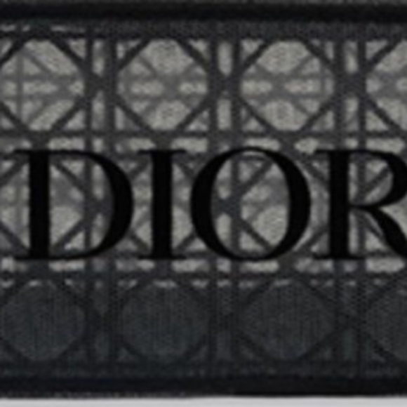 Low Start Dior-Mesh Logo Zip Pouch / Crossbody Bag-Chain Strap & DIOR Ribbon - Picture 4 of 4